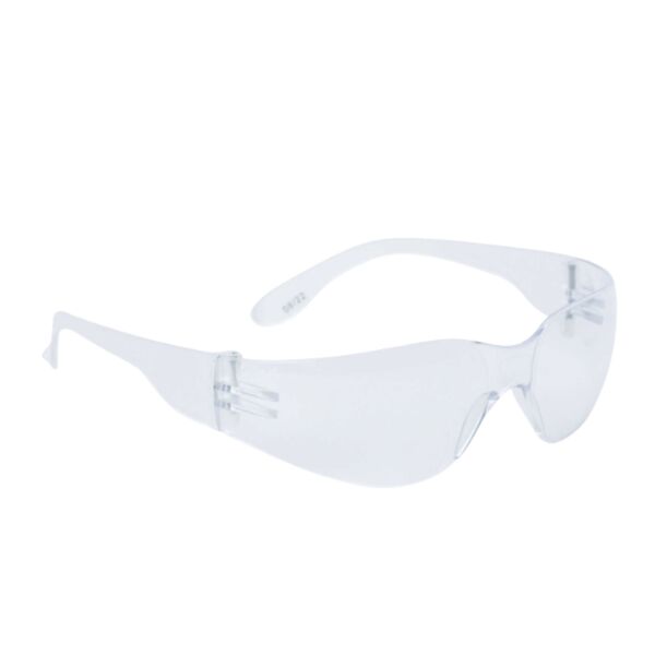 DELTA PLUS BRAVA SAFETY GLASSES Thumbnail
